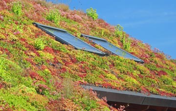 Little Tew living roof systems